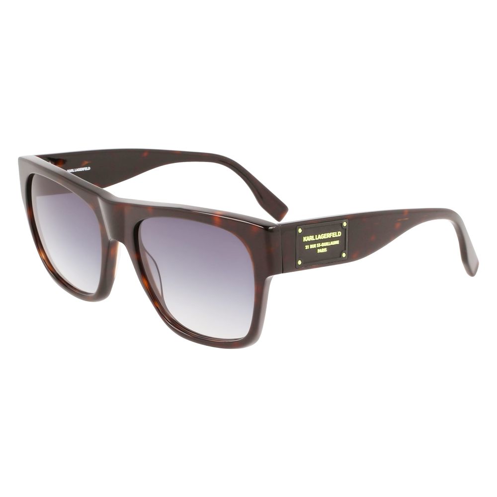 Brown Acetate Sunglasses